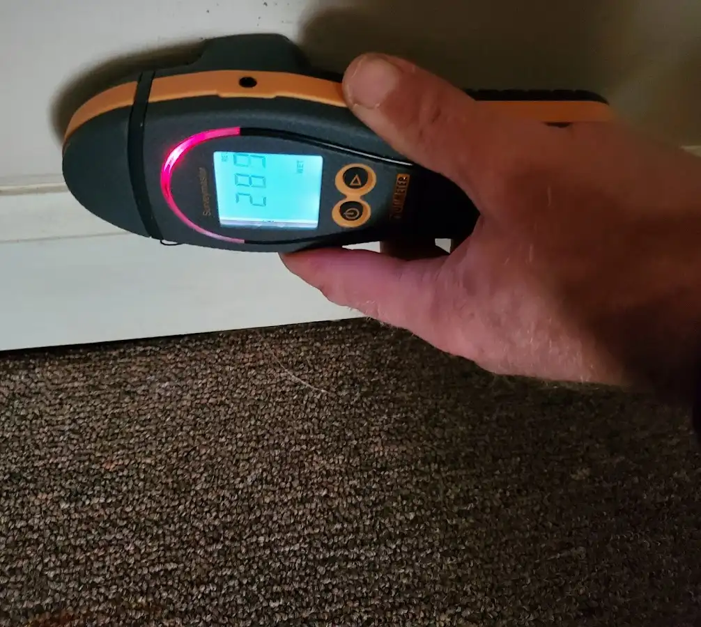 Moisture detection at baseboard during Sewage Cleanup & Sanitation in Coshocton